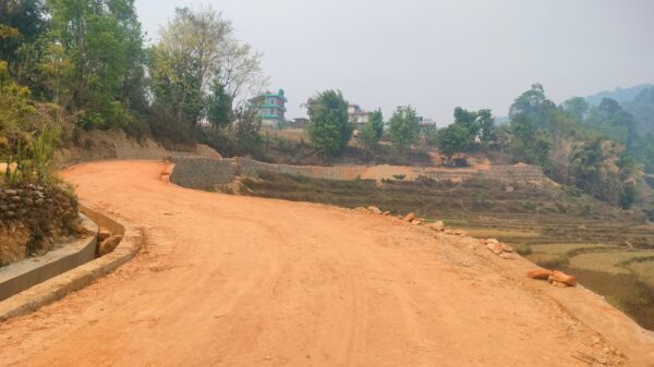 फेदीखोला गाउँपालिकाको रिङ रोड कालोपत्रे गरिदै